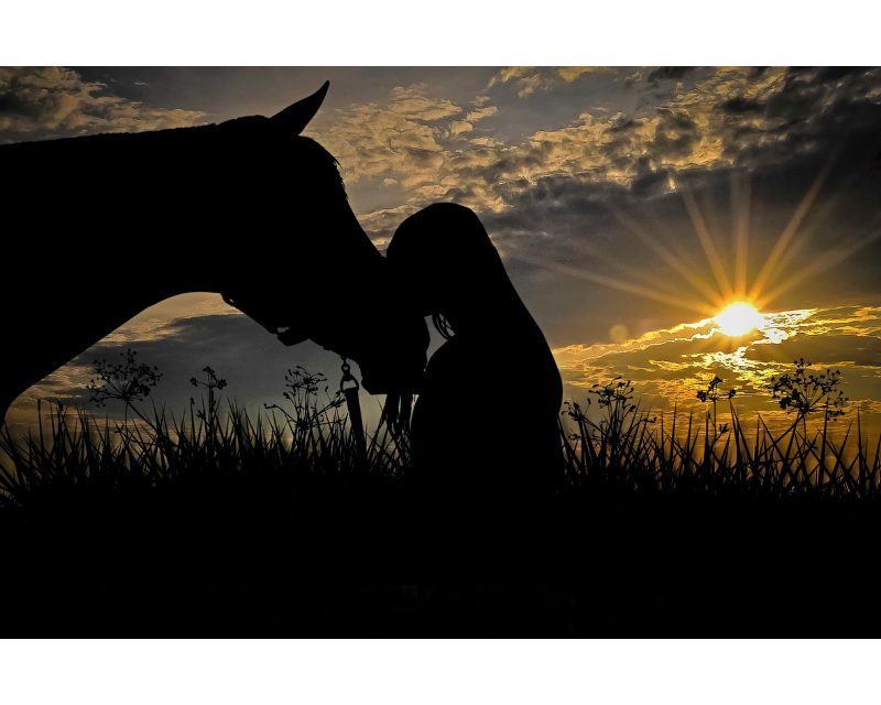 Coaching und Massagen in Bad Oeynhasuen