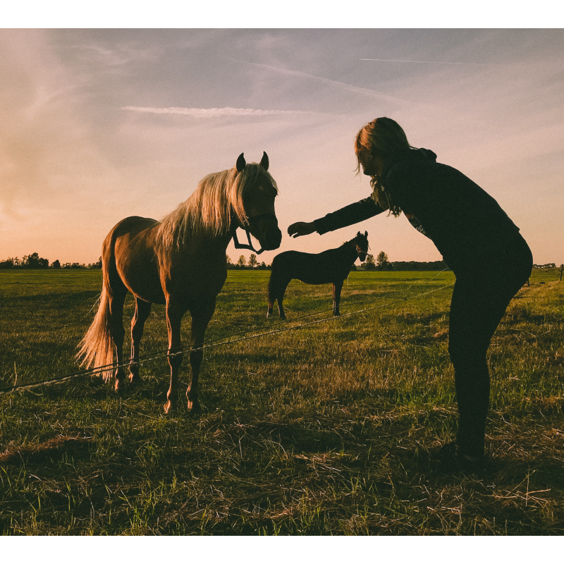 Coaching und Massagen in Bad Oeynhasuen